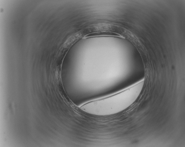 X0000069810333200605190851