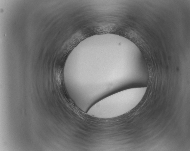 X0000069810334200605190851