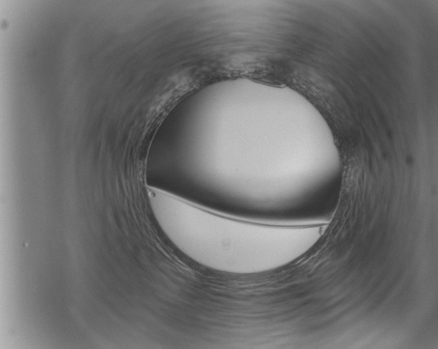 X0000069810335200605190851