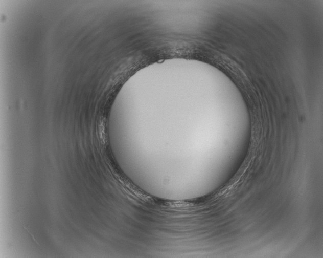 X0000069810336200605190851