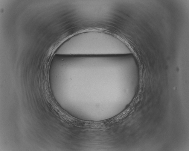 X0000069810337200605190850