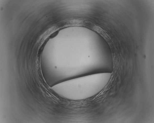 X0000069810338200605190850