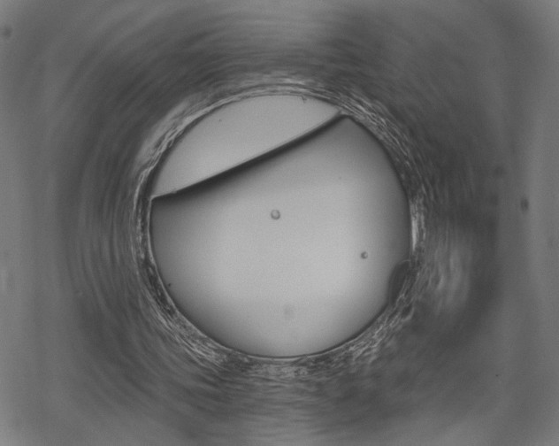 X0000069810339200605190850