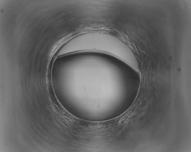 X0000069810340200605190850