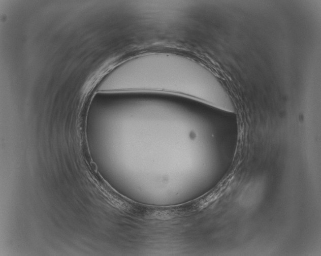 X0000069810341200605190850