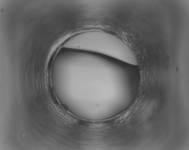 X0000069810342200605190850