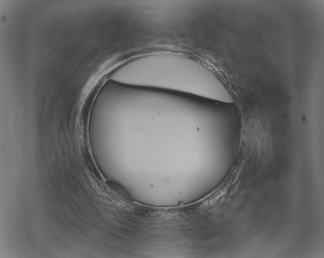 X0000069810343200605190850