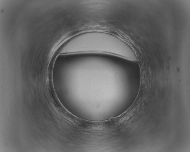 X0000069810344200605190850