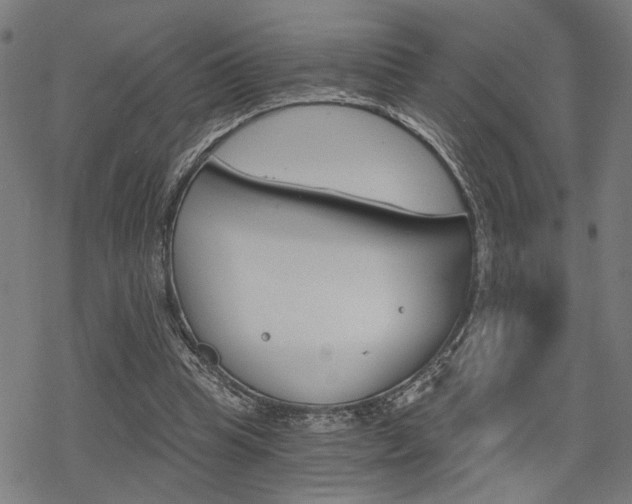 X0000069810345200605190850