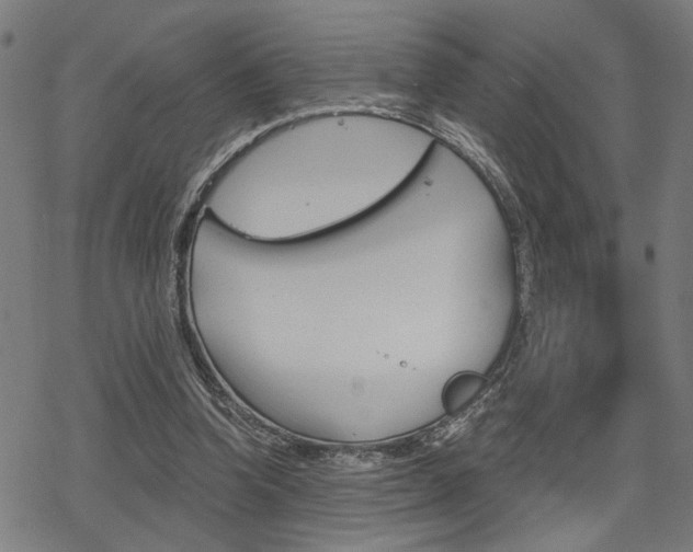 X0000069810346200605190850