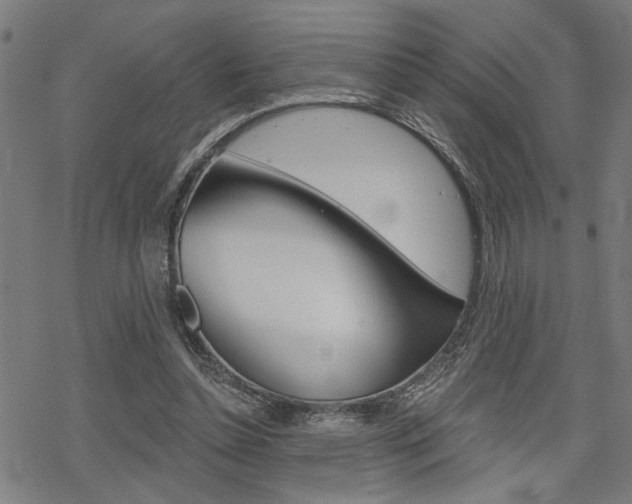 X0000069810348200605190850