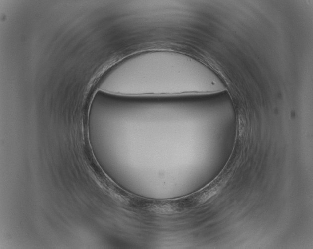 X0000069810349200605190850