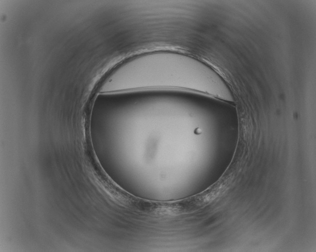 X0000069810350200605190850