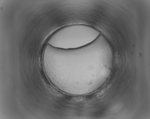 X0000069810351200605190850