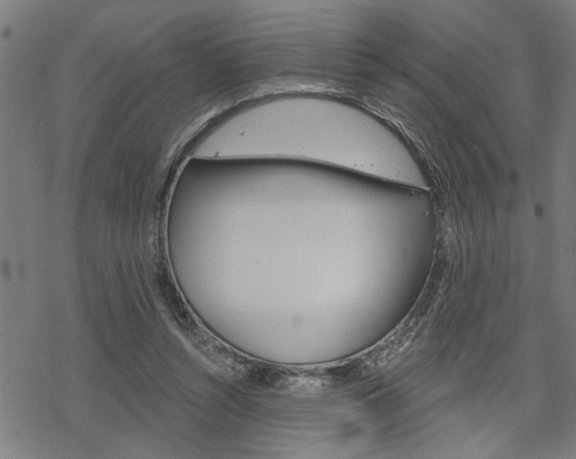 X0000069810352200605190850