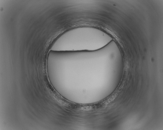 X0000069810353200605190850