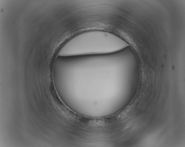 X0000069810354200605190850