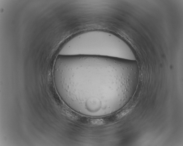 X0000069810355200605190851