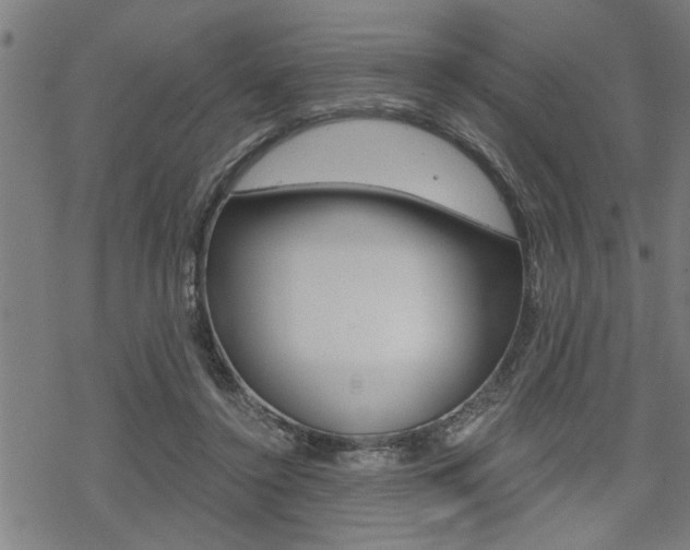 X0000069810356200605190851