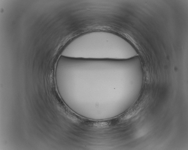 X0000069810357200605190851