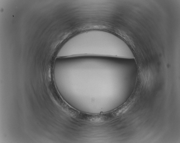 X0000069810358200605190851