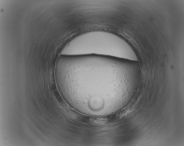 X0000069810359200605190851