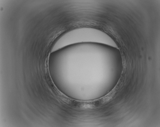 X0000069810360200605190851