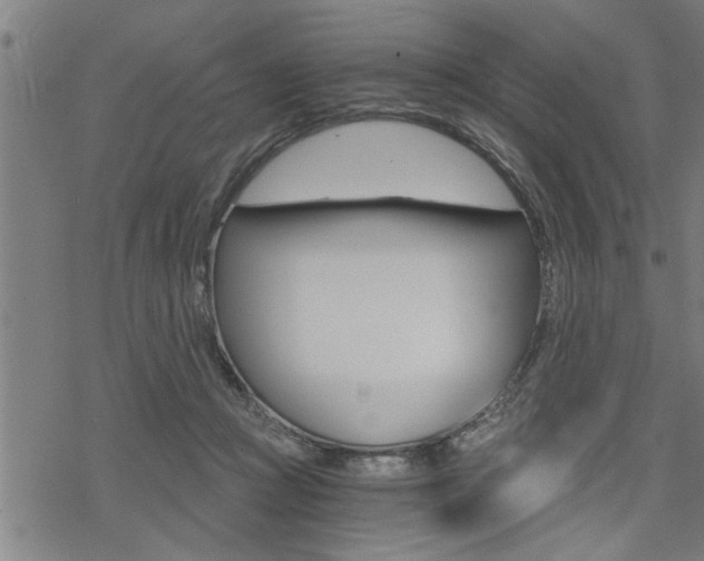 X0000069810361200605190851