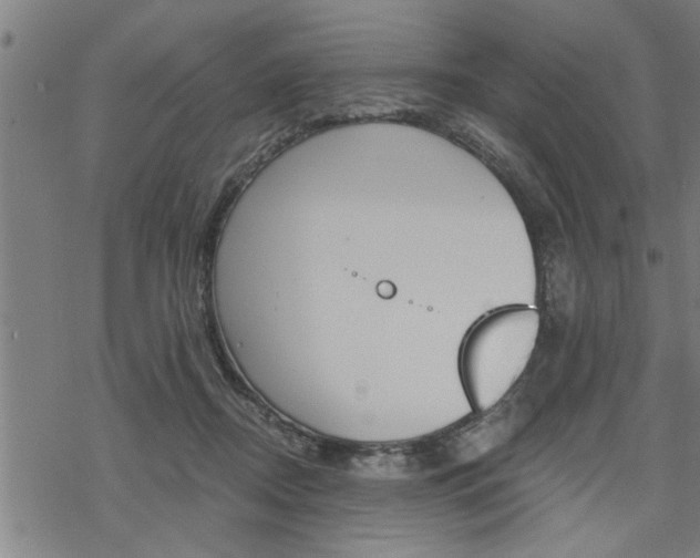 X0000069810362200605190851