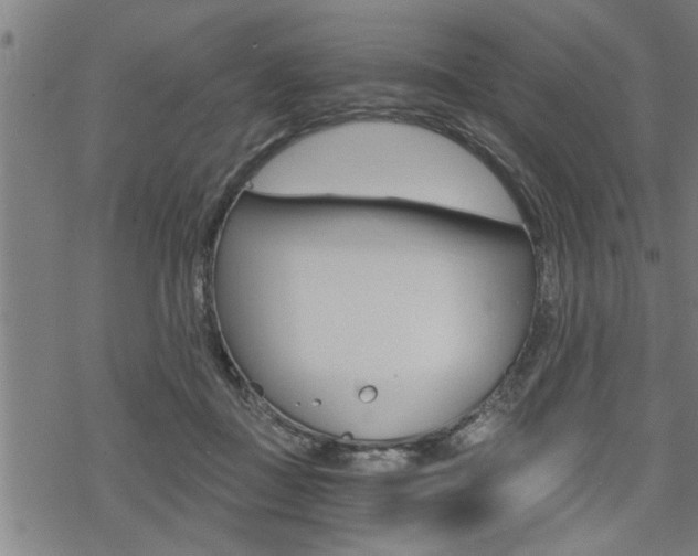 X0000069810363200605190851