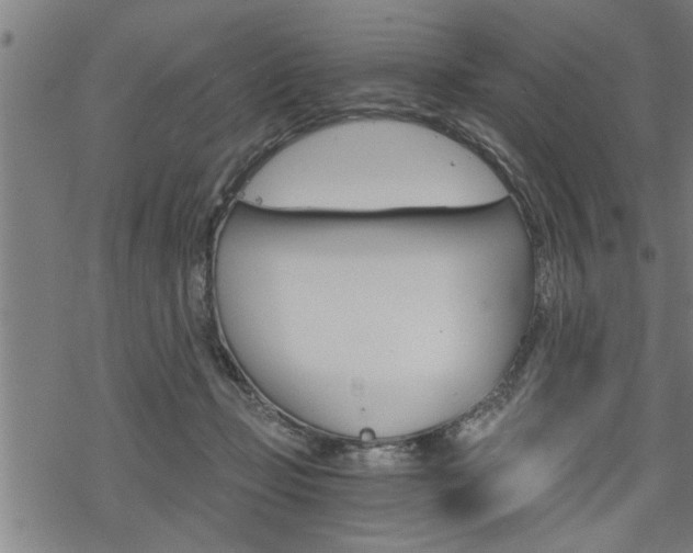 X0000069810365200605190851