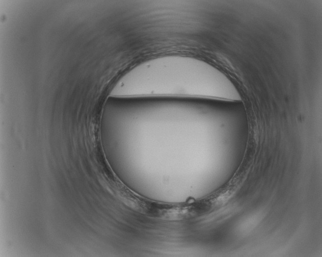 X0000069810366200605190851