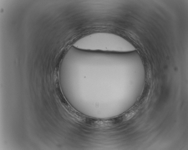 X0000069810367200605190851