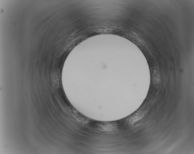 X0000069810370200605190851