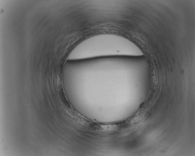 X0000069810371200605190851