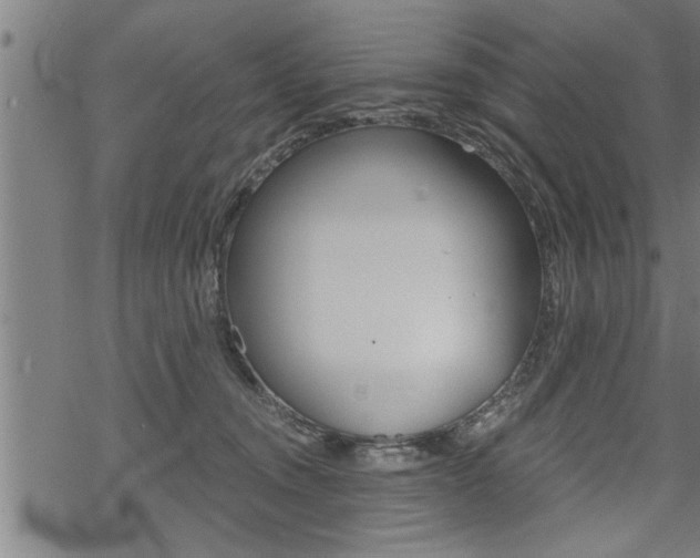 X0000069810372200605190851