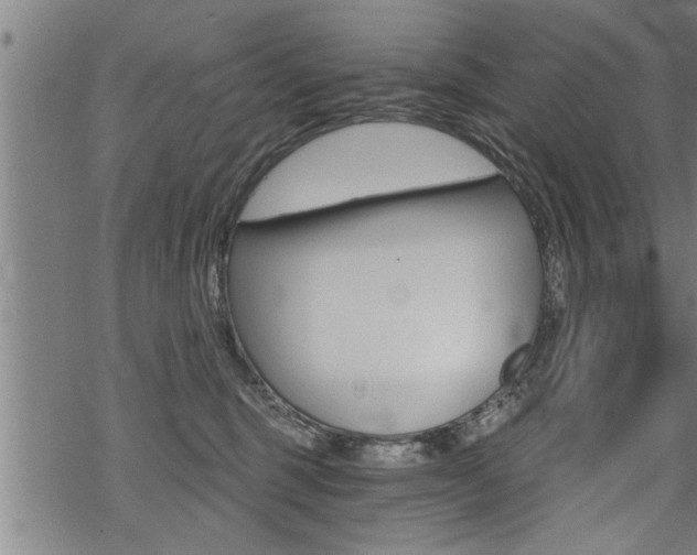 X0000069810375200605190851