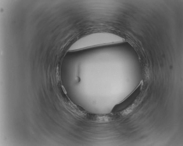 X0000069810376200605190851