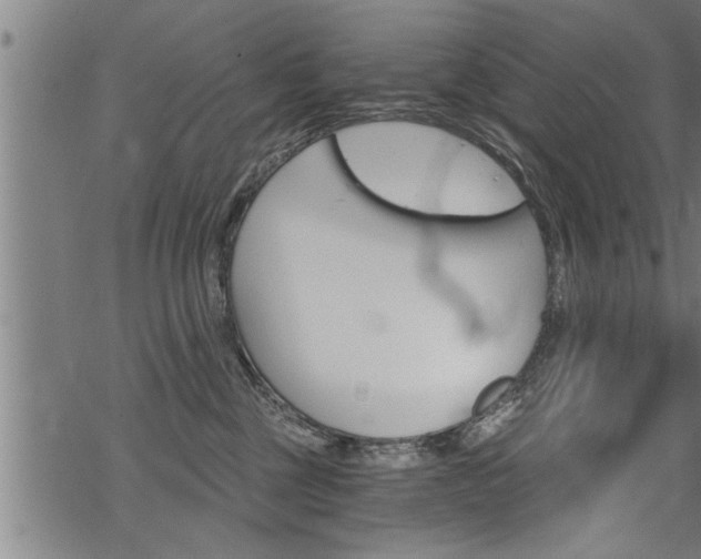 X0000069810377200605190851