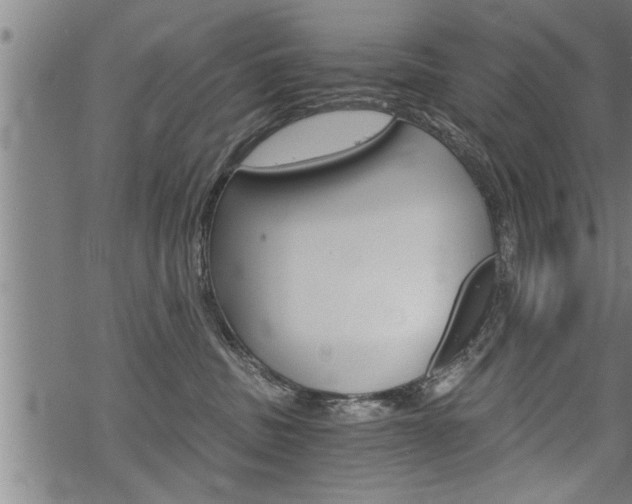 X0000069810379200605190851