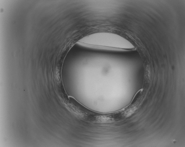 X0000069810380200605190851