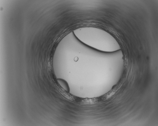 X0000069810381200605190851