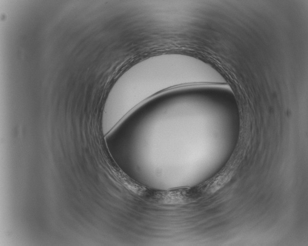 X0000069810384200605190851