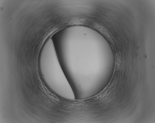 X0000069810386200605190850