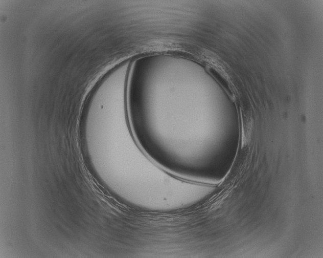 X0000069810387200605190850