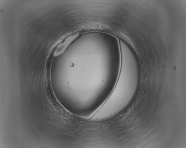 X0000069810388200605190850