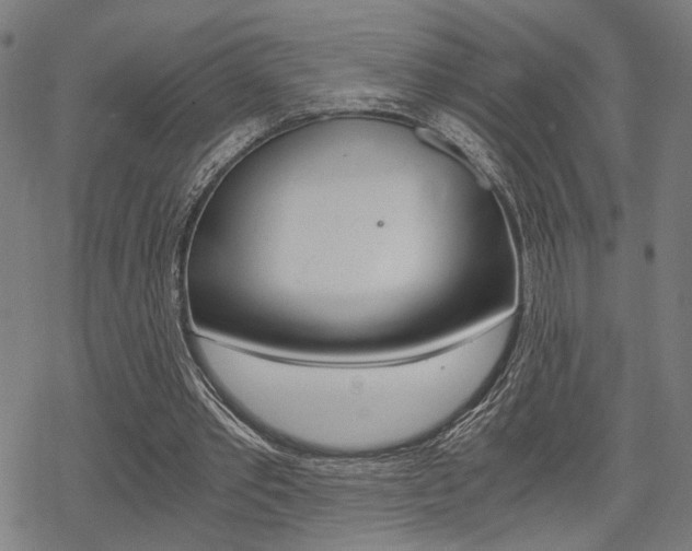 X0000069810389200605190850