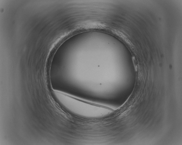 X0000069810391200605190850