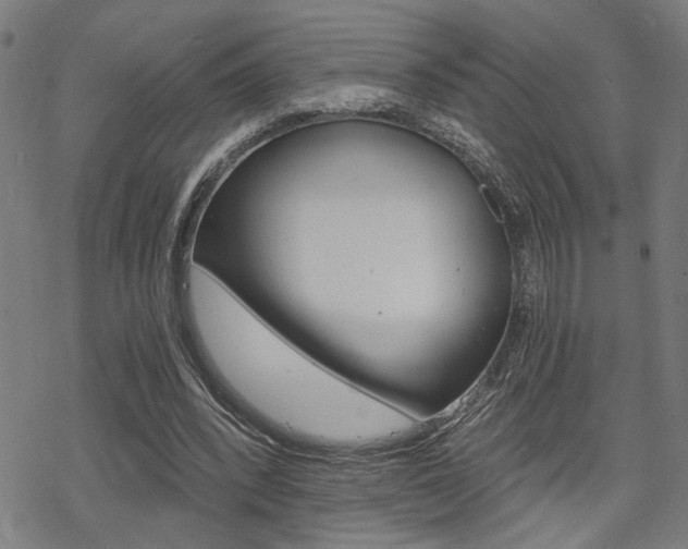 X0000069810392200605190850