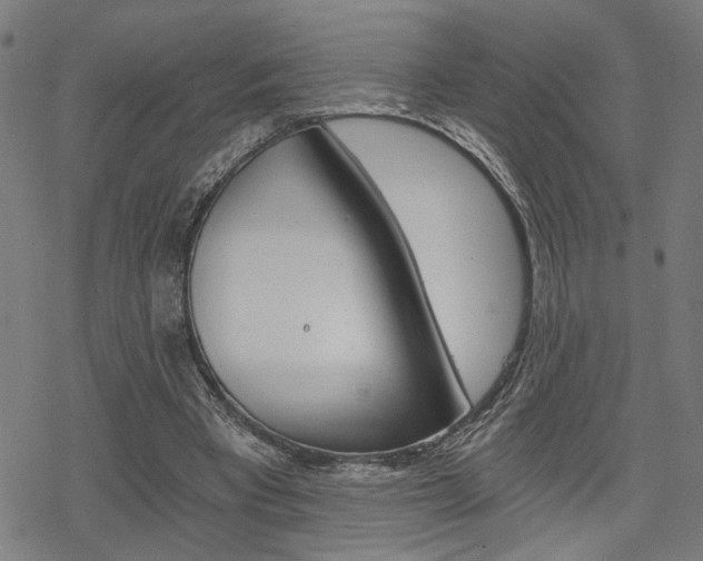 X0000069810393200605190850